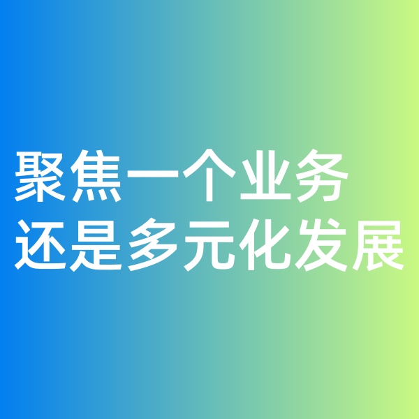 鈀碳回收, 聚焦一個業(yè)務(wù)，還是多元化發(fā)展